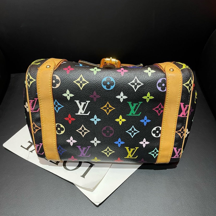 Louis Vuitton Multicolor Speedy Bag