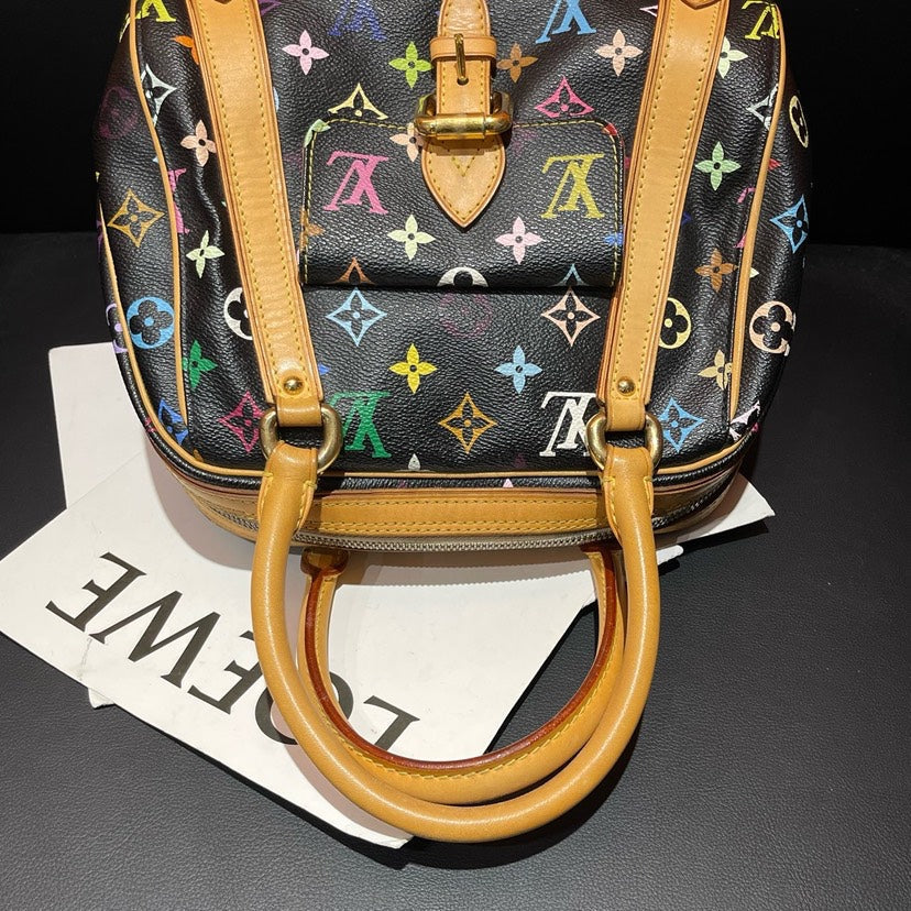 Louis Vuitton Multicolor Speedy Bag