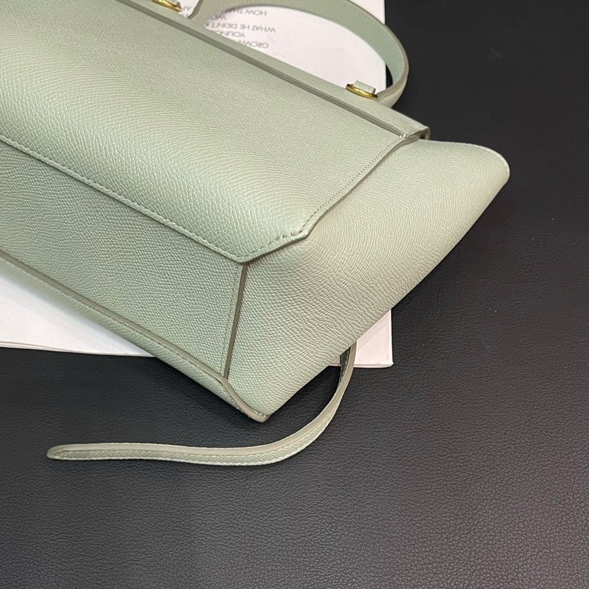 Celine Green Bag 21x20x11