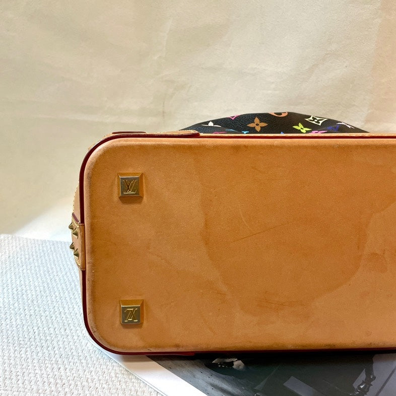 Louis Vuitton Multicolor NoÃƒÆ’Ã‚Â© Tote Bag