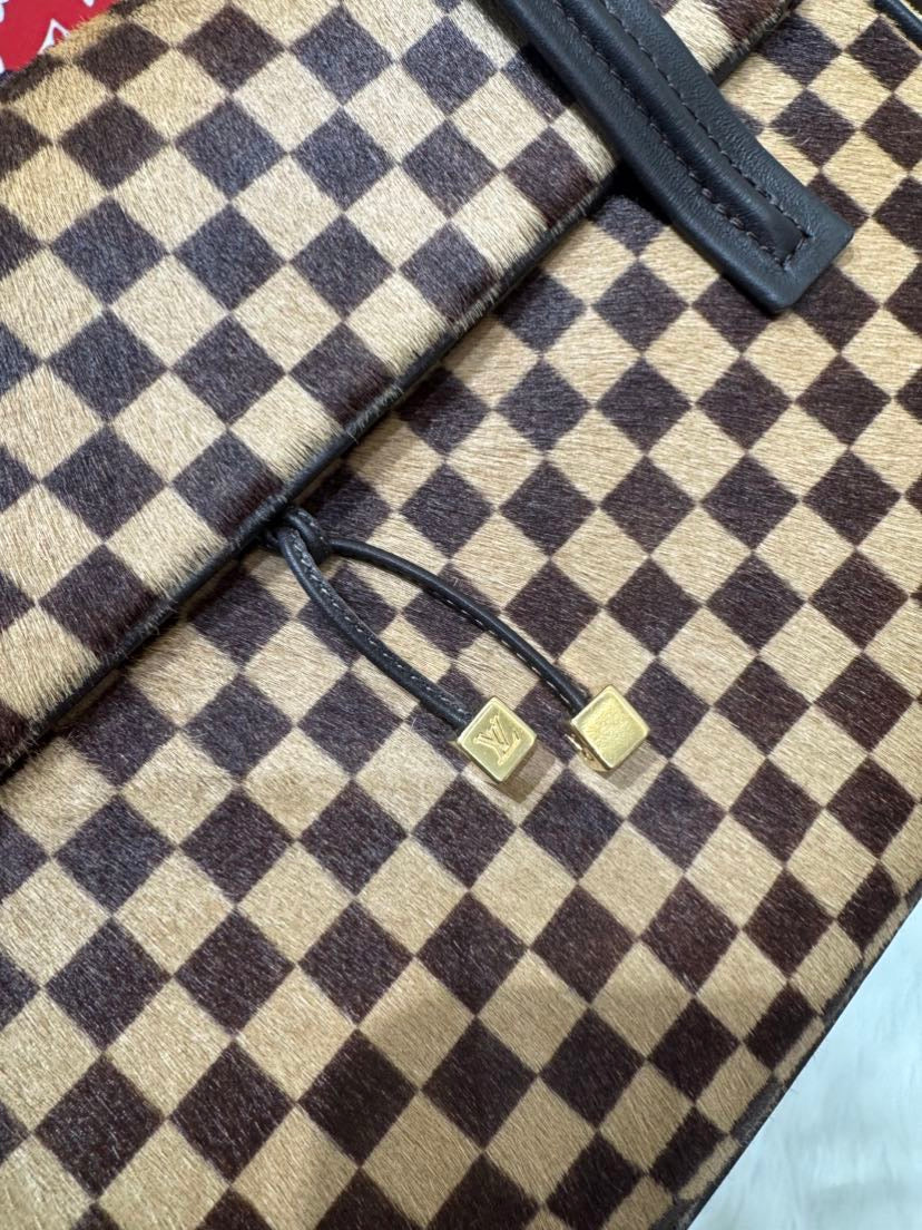 Louis Vuitton Damier Horse Hair Handle Bag Brown