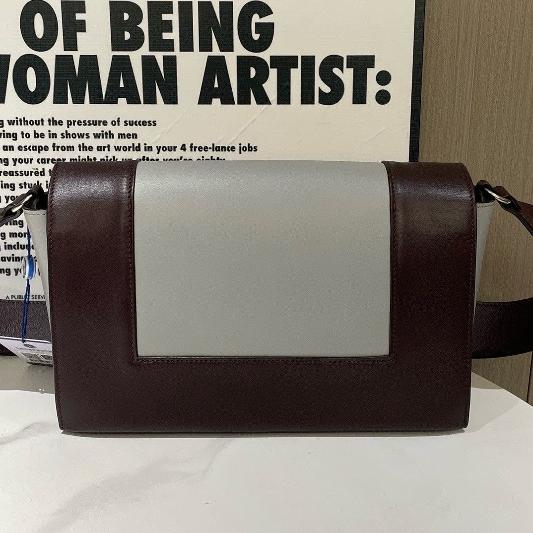 Celine Frame Bag Brown and Gray Shoulder Bag