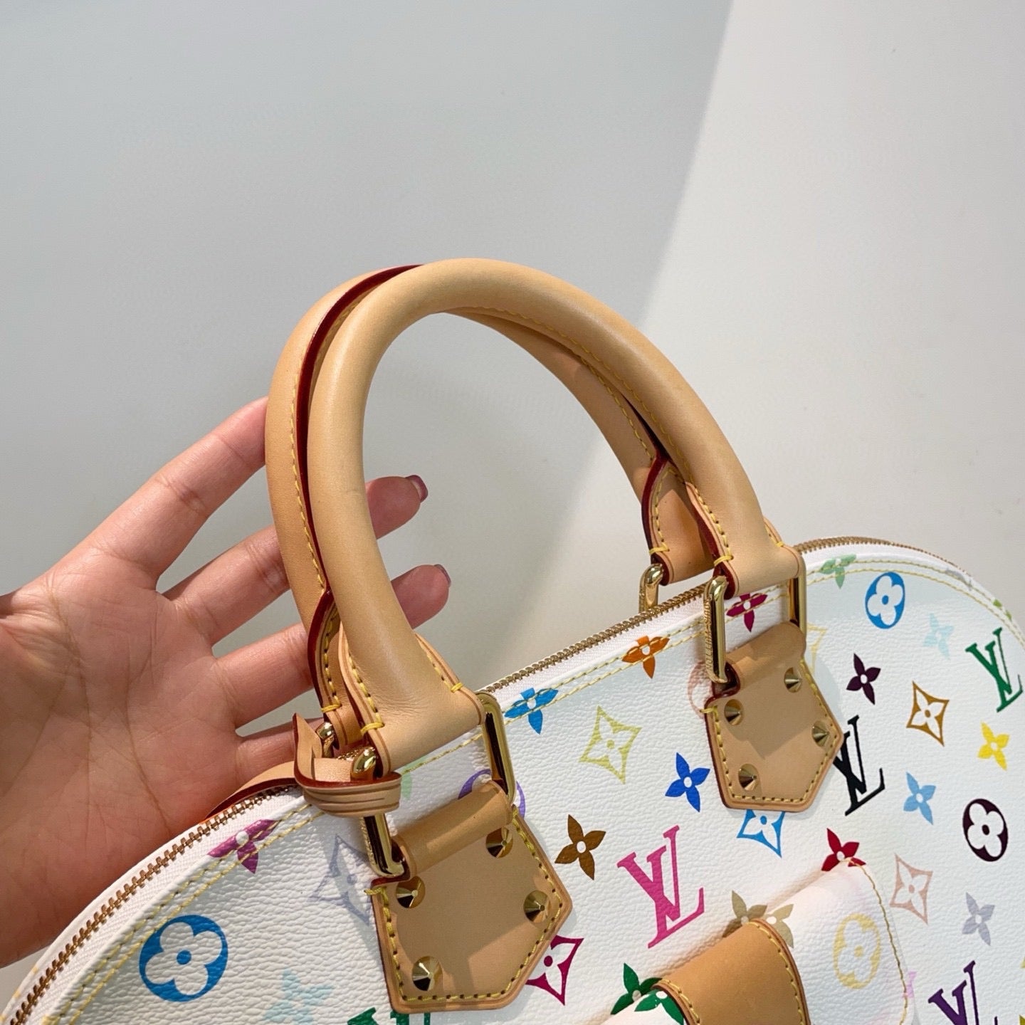 Louis Vuitton Multicolor Alma GM Bag