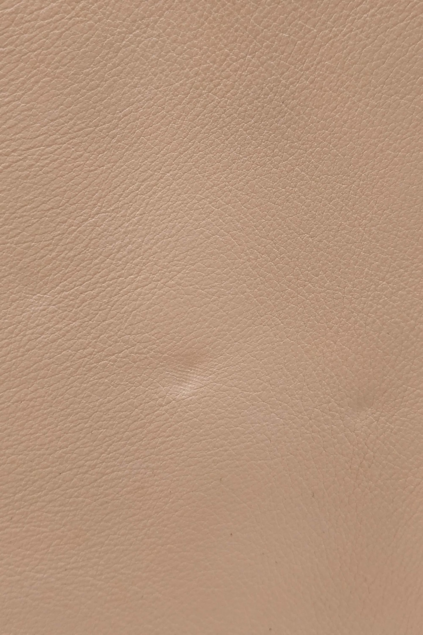 Classic Small Sac De Jour Peach