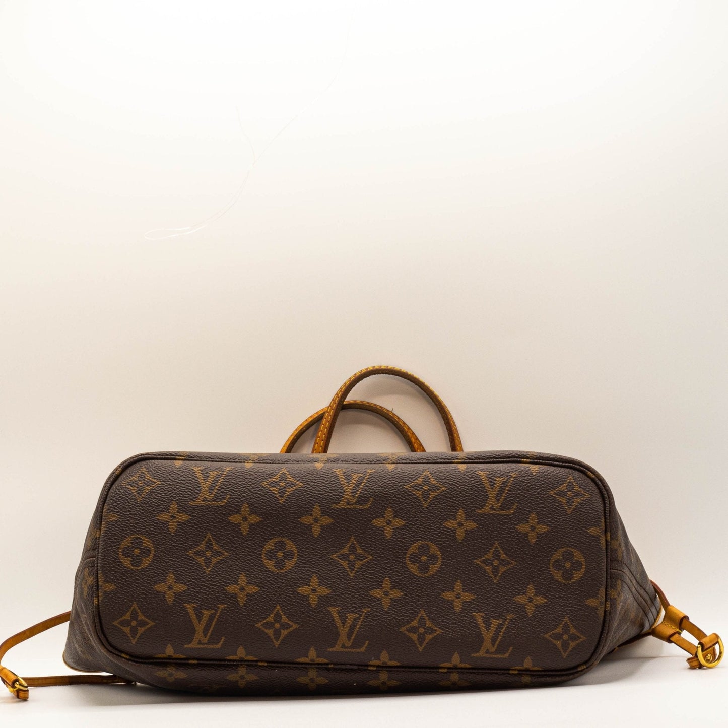 Neverfull PM Monogram
