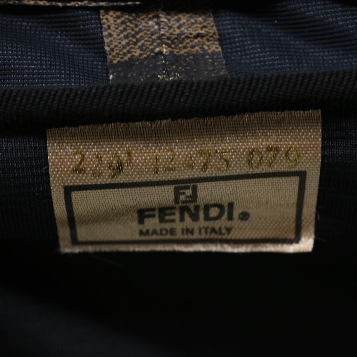FENDI Pecan Canvas Shoulder Bag 2way Black Brown th3595