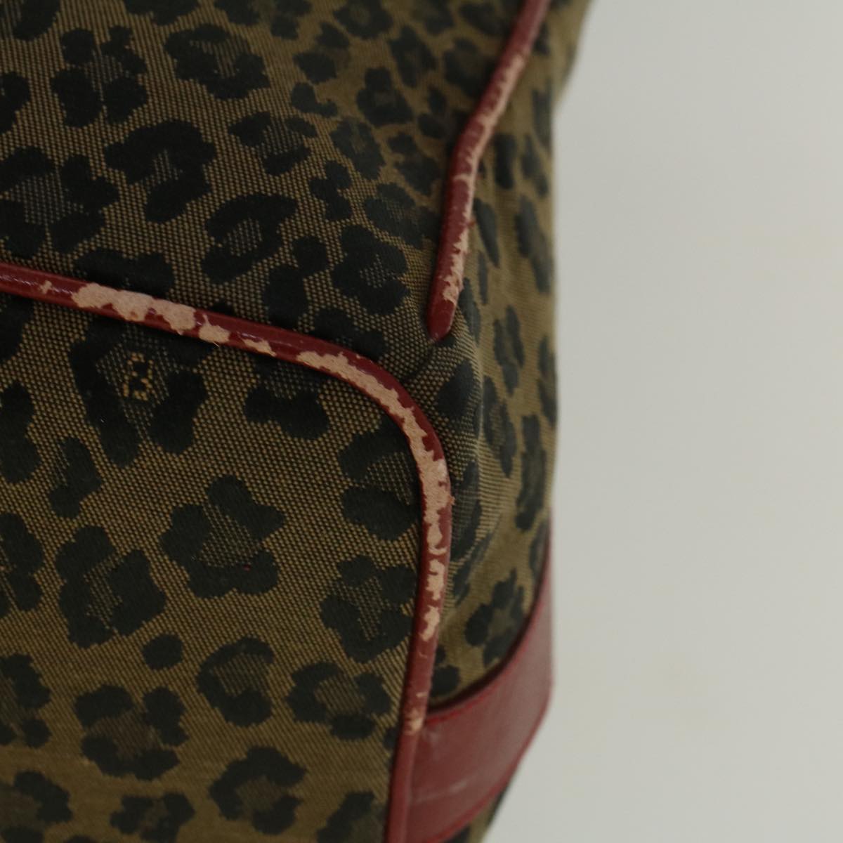 FENDI Leopard Hand Bag Nylon Brown Red th4301