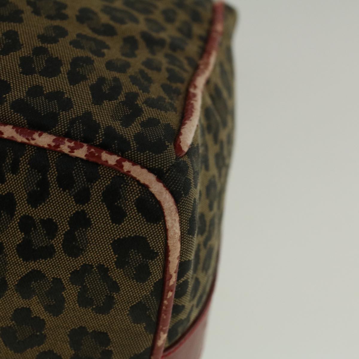 FENDI Leopard Hand Bag Nylon Brown Red th4301
