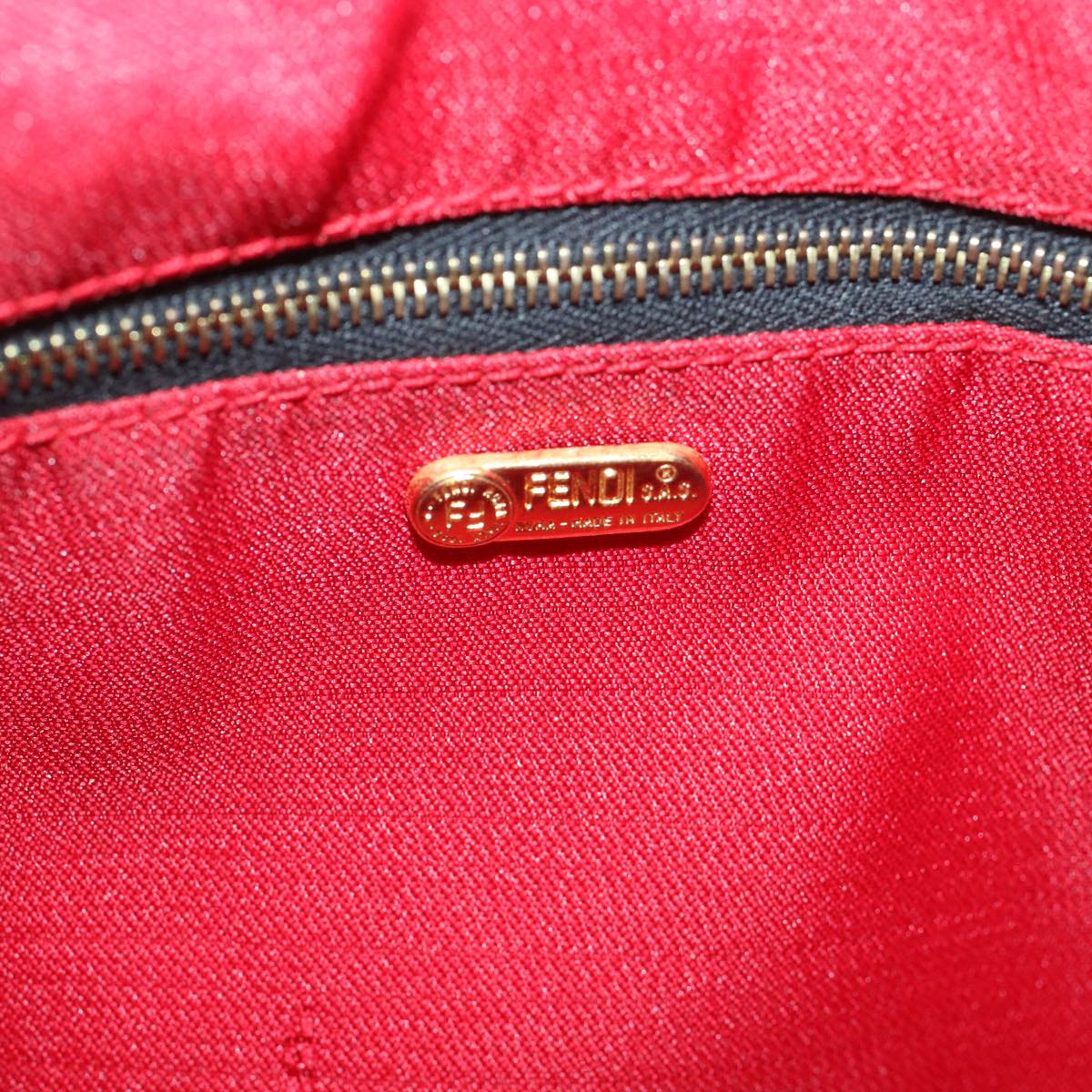 FENDI Leopard Hand Bag Nylon Brown Red th4301