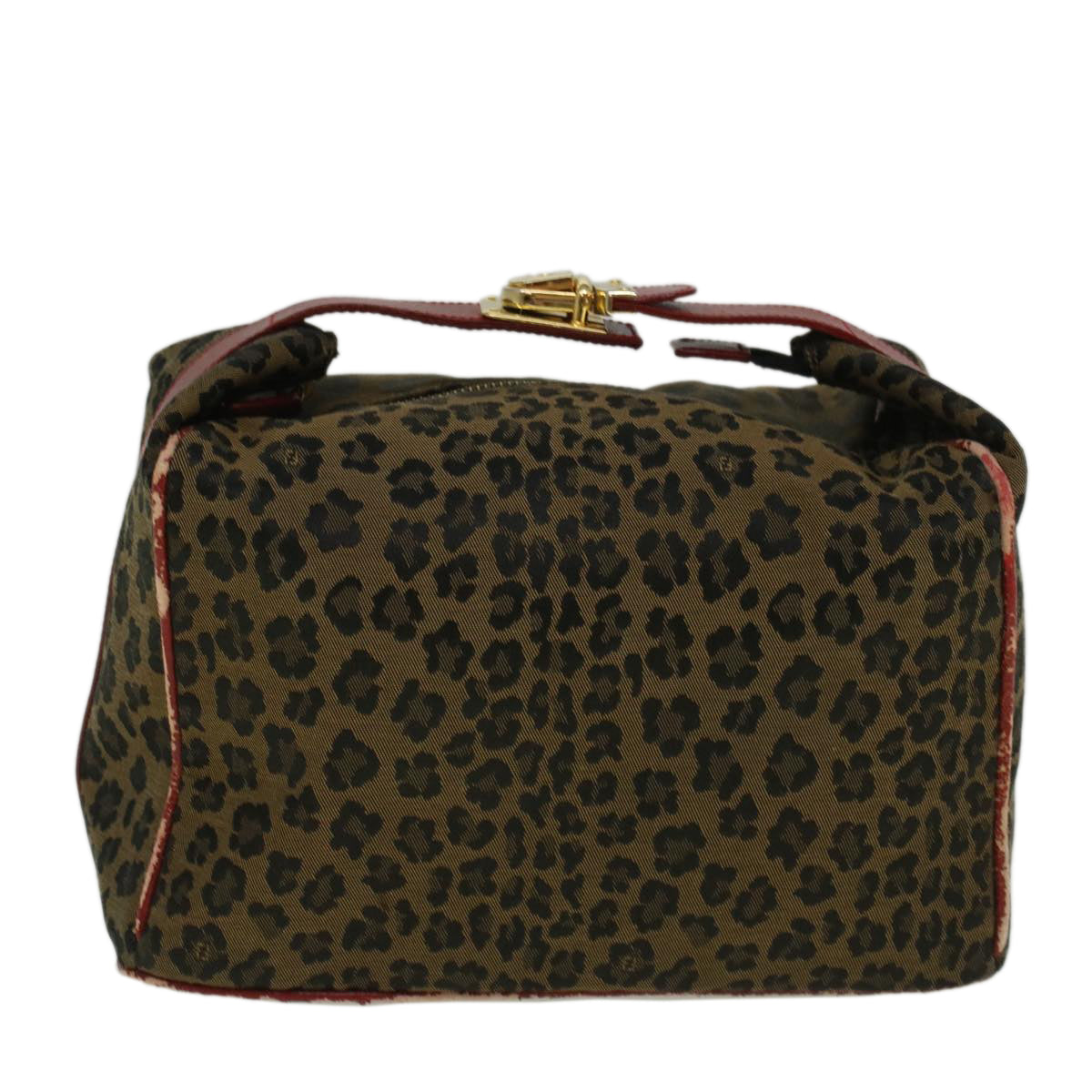 FENDI Leopard Hand Bag Nylon Brown Red th4301