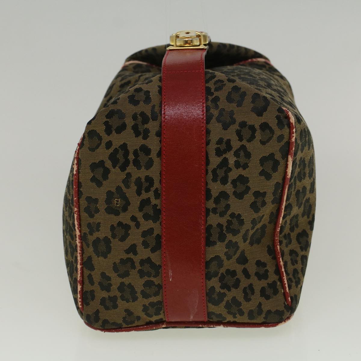 FENDI Leopard Hand Bag Nylon Brown Red th4301