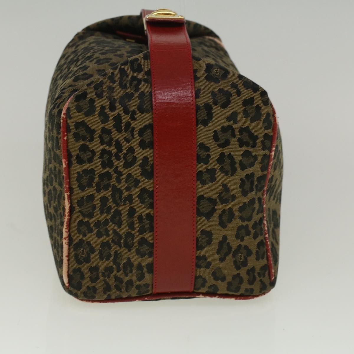 FENDI Leopard Hand Bag Nylon Brown Red th4301
