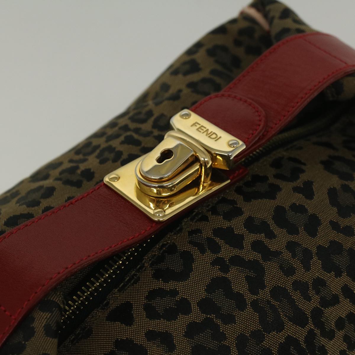 FENDI Leopard Hand Bag Nylon Brown Red th4301