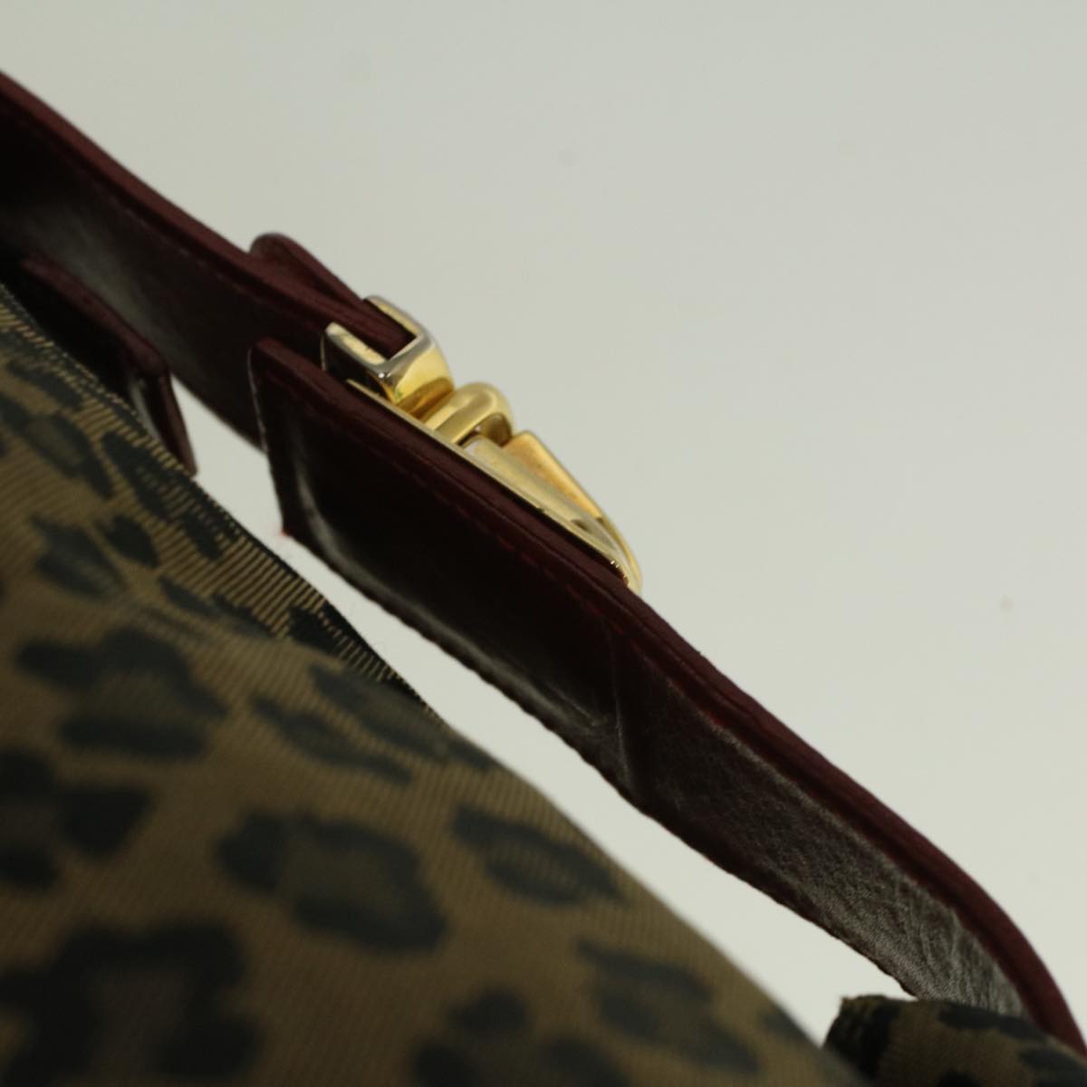 FENDI Leopard Hand Bag Nylon Brown Red th4301
