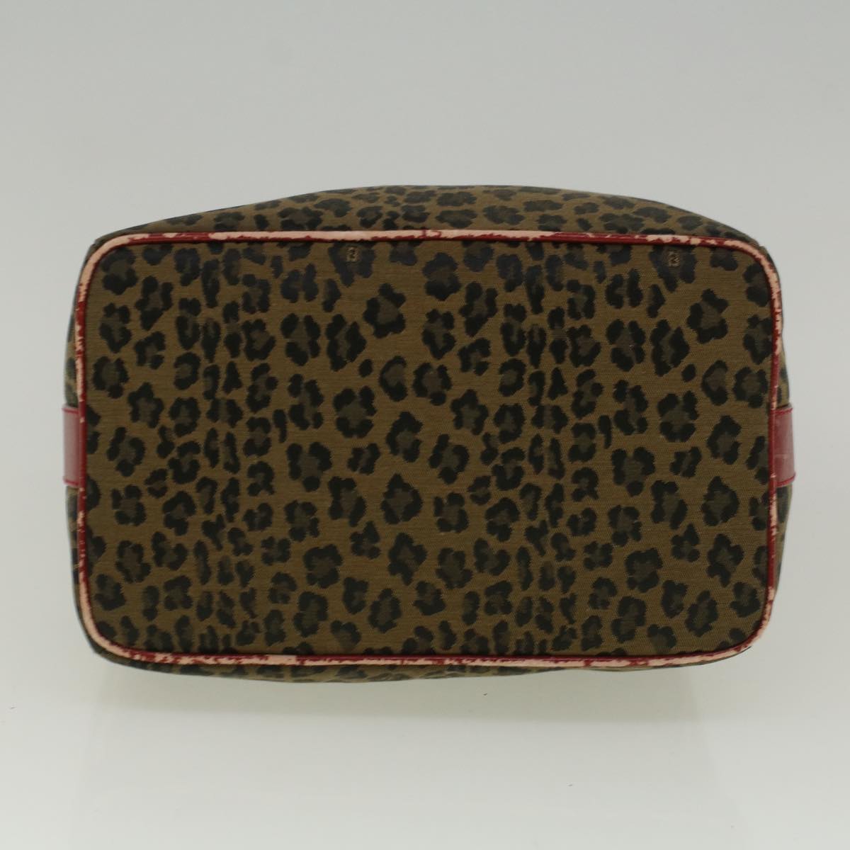 FENDI Leopard Hand Bag Nylon Brown Red th4301