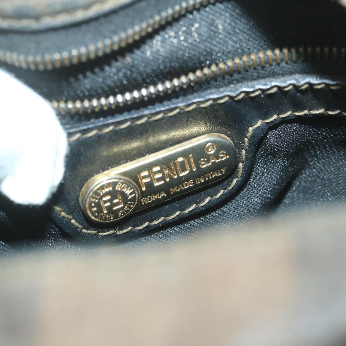 FENDI Pecan Canvas Shoulder Bag Coated Canvas Brown th4531