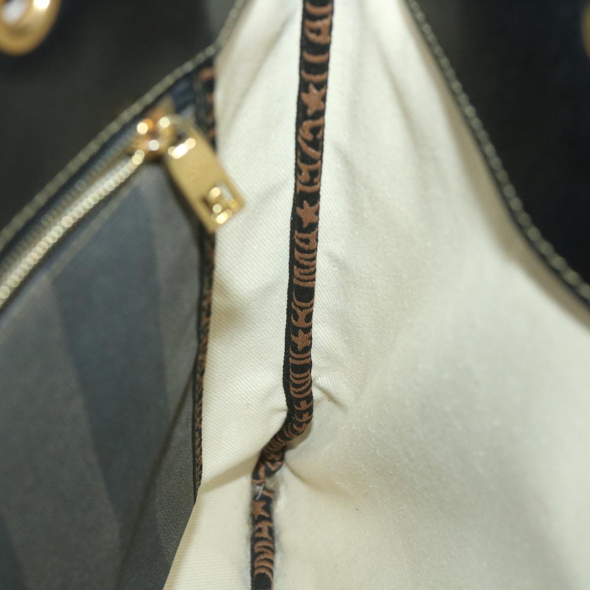 FENDI Pecan Canvas Tote Bag Coated Canvas Brown Black ti1269