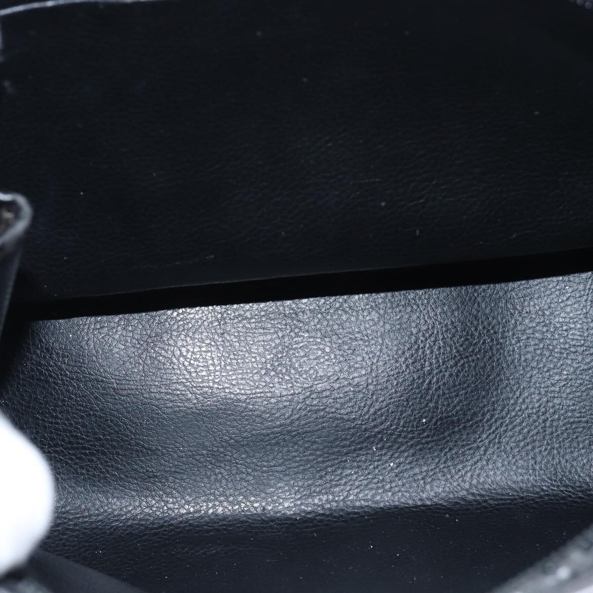 FENDI Pecan Canvas Clutch Bag Black Brown ti1705