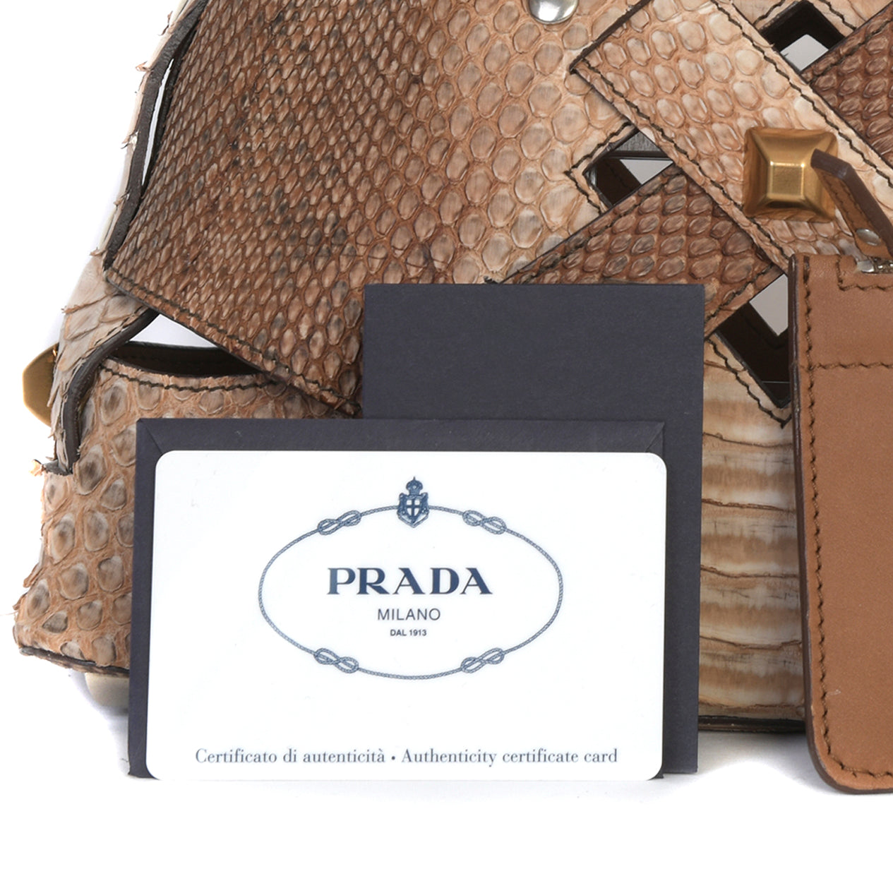 Snakeskin Cut Out Mini Bag