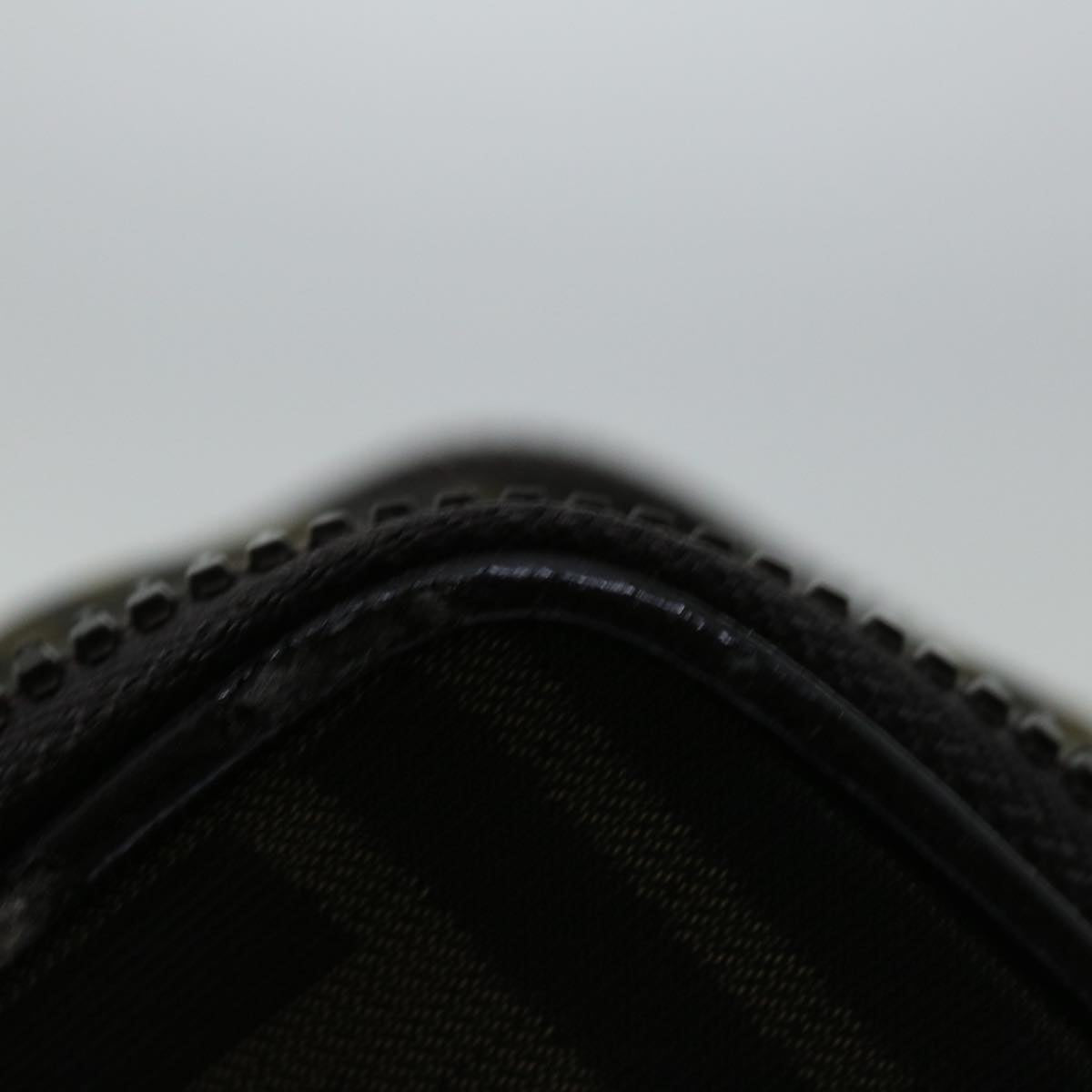 FENDI Zucca Canvas Vanity Hand Bag Brown Black