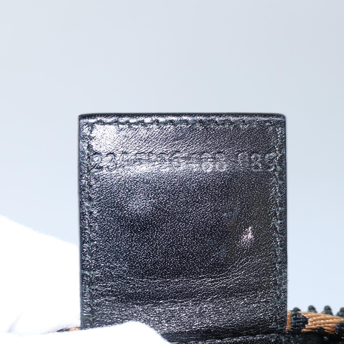 FENDI Hand Bag Canvas Black yb555