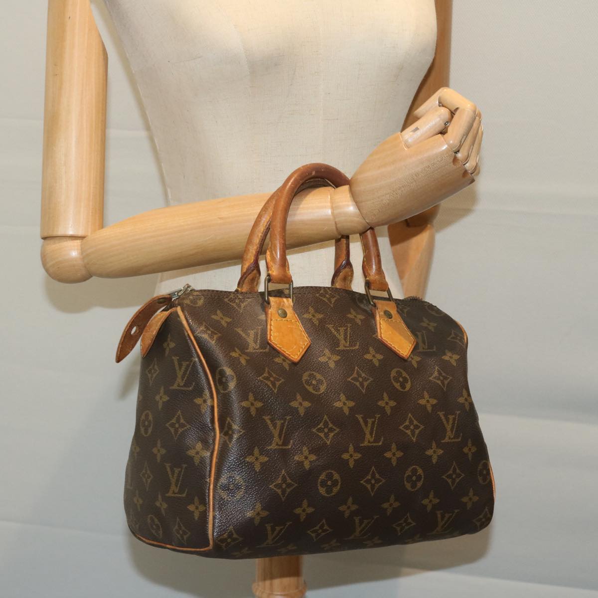 LOUIS VUITTON Monogram Speedy 25 Hand Bag M41528 LV yk10203