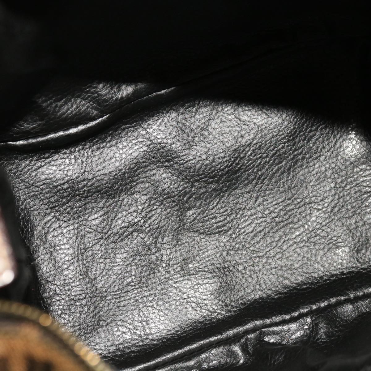 FENDI Zucca Canvas Hand Pouch Brown Black yk10361