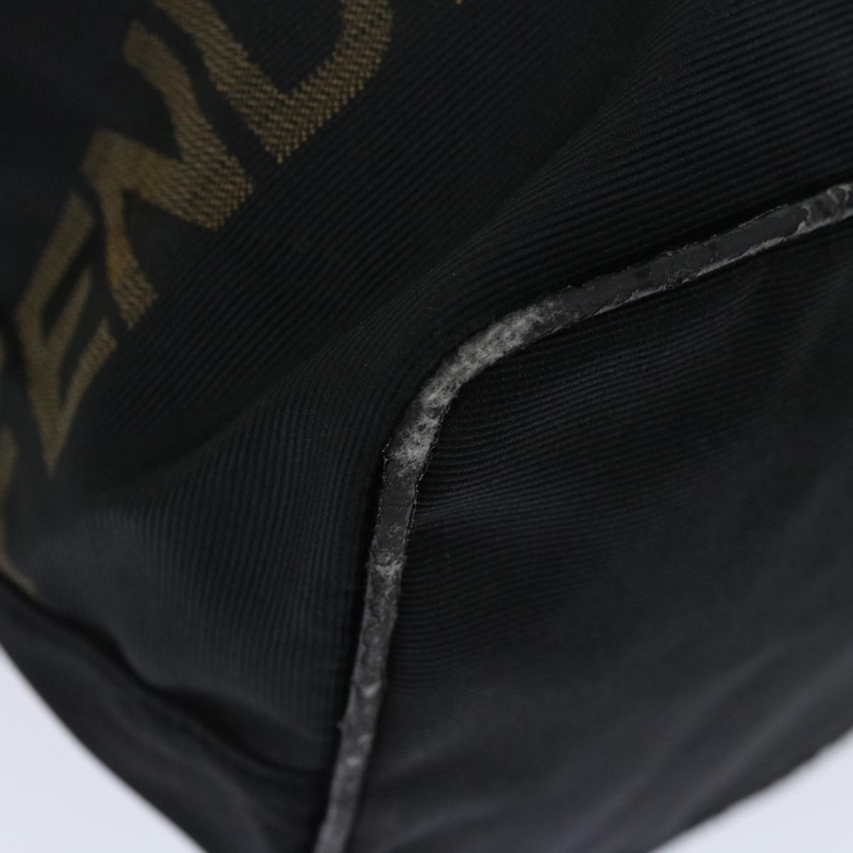 FENDI Hand Bag Canvas Black yk11128