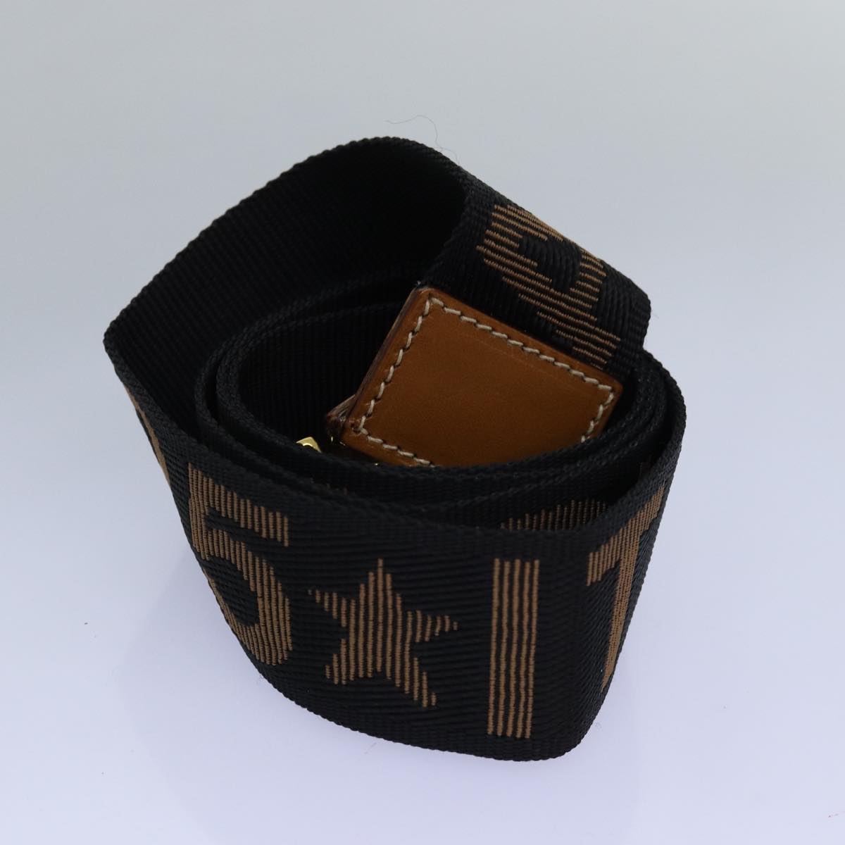 FENDI Pecan Canvas Hand Bag 2way Brown Black yk12478