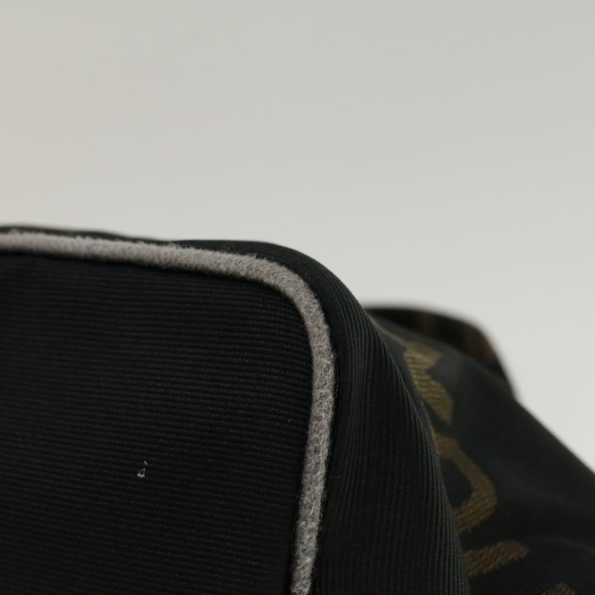 FENDI Hand Bag Nylon Black yk9194