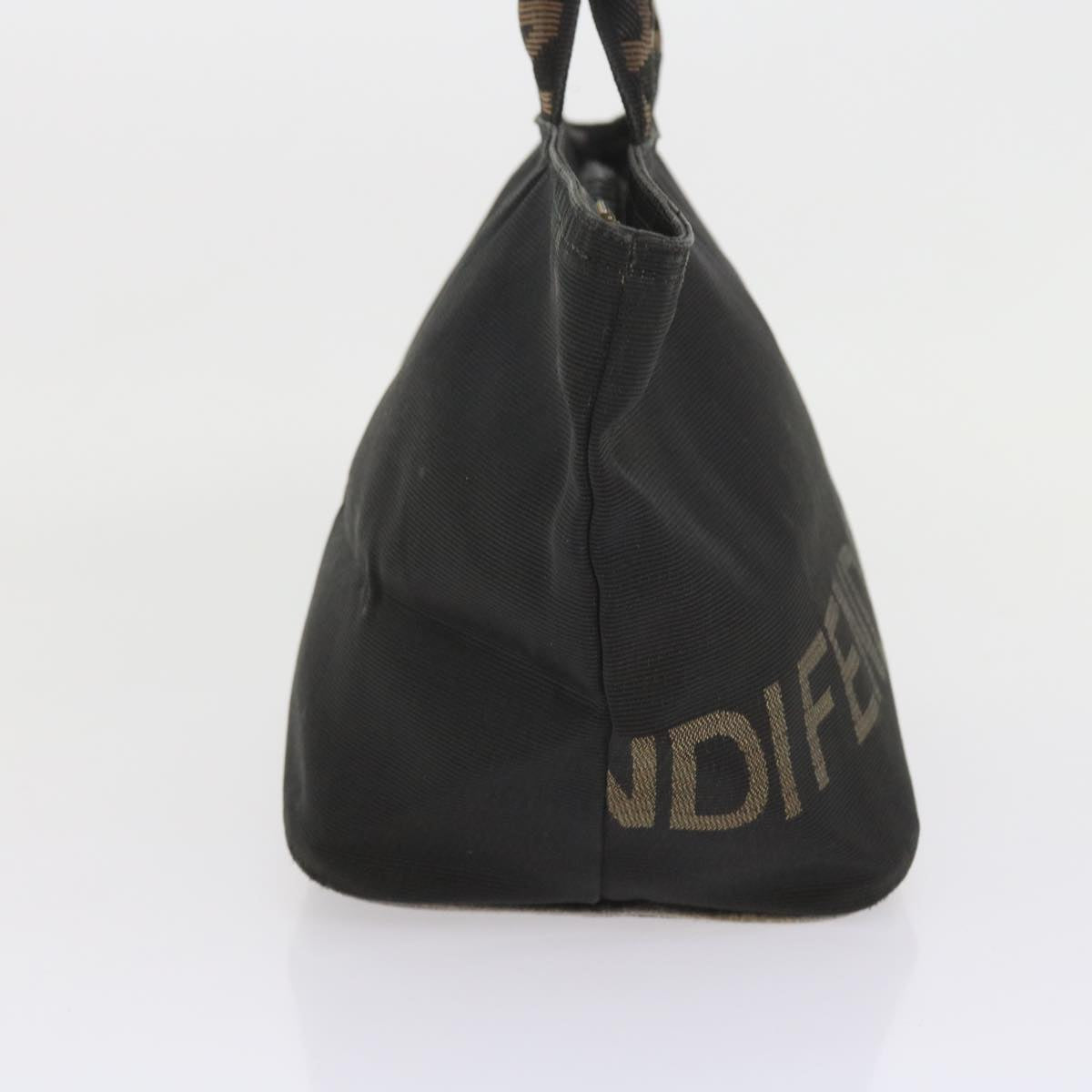 FENDI Hand Bag Canvas Black yk9264
