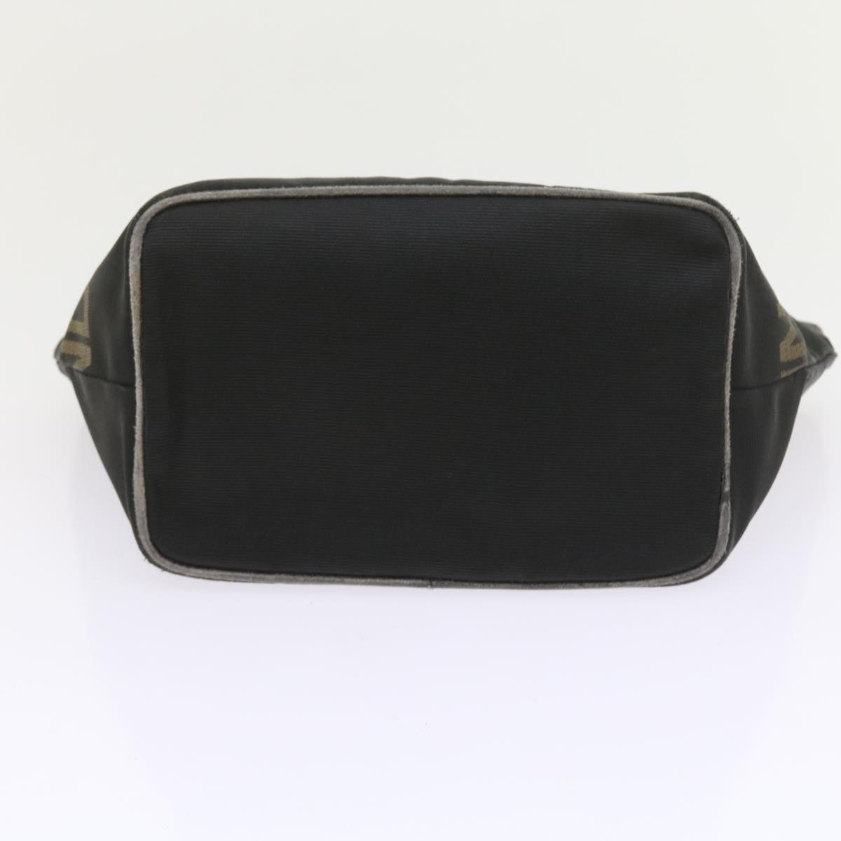 FENDI Hand Bag Canvas Black yk9264
