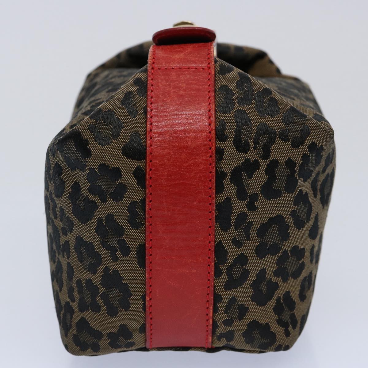 FENDI Hand Pouch Canvas Brown yk9727