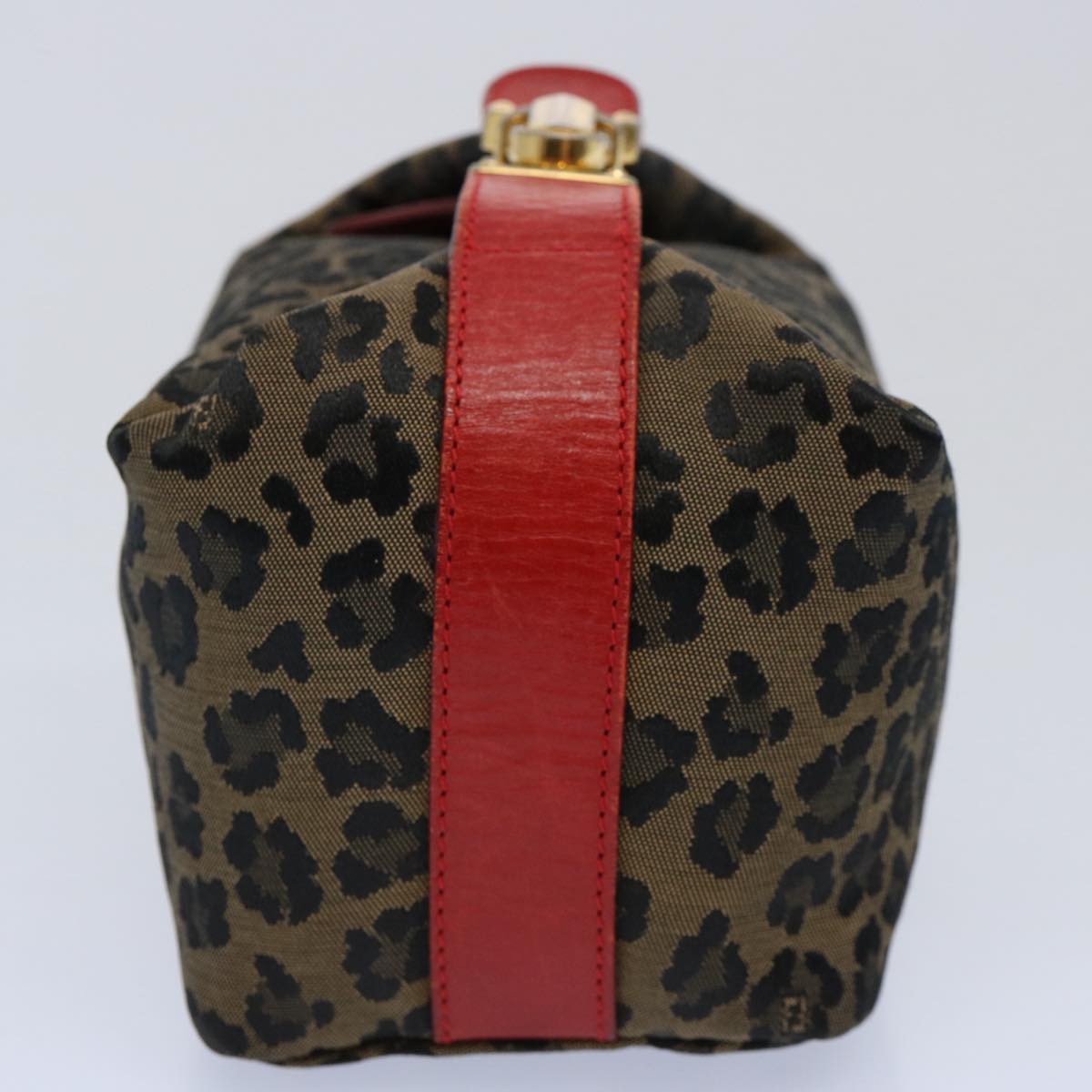 FENDI Hand Pouch Canvas Brown yk9727